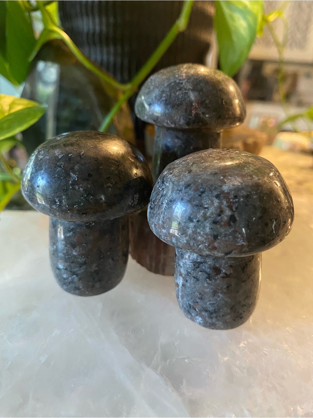 🍄💜 TINY MUSHROOMS WITH A BIG SECRET! 💜🍄